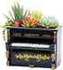 Wooden Pots, Mini Flowerpot, Retro Resin Succulent Planter Bonsai Pot Desk Holder Mini Ornament (Piano Black)