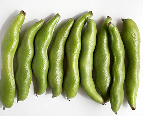 Giant Edamame Bean Seeds - Midori Variety for Delicious Harvests