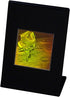 3D Lunar Lander Hologram DeskStand - Collectible Polaroid Photopolymer Film