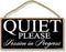 Honey Dew Gifts Black Quiet Please Session in Progress Hanging Door Sign for Office or Commercial Use