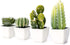 Artificial Mini Succulent & Cactus Plants, Set of 4 in White Cube-Shaped Pots for Home Decor