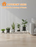 NQW 5 Pack Plant Stand Metal Flower Pot Stand Holders Indoor Tall Plant Rack Plant Round Black Plant Shelf For Living