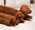 KOWAKA (27.5inches) Dachshund Dog Plush Hug Pillow Soft Durable Stuffed Throw Cushion Dachshund Animals Hug Pillow