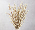 Pack of 6 Artificial Cream Winter White Weatherproof Berry Stem Branches -