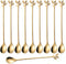 10 Pcs Gold Stainless Steel Long Handle Teaspoons, Mixing Spoons Set for Ice Cream, Cocktail