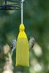 Yellow Finch Sock Feeders - Pair of Socks, 2pk, Seed-Filled All-Season Feeders, 24oz Total