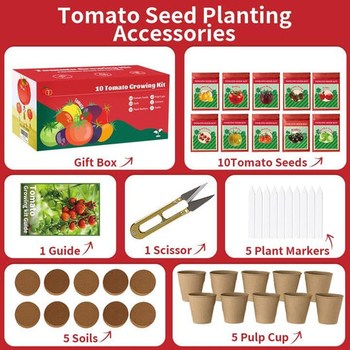 EquSym 10 Pack Set Tomato Seeds for Planting - Heirloom Tomato Seeds for Indoor Outdoor Gardening - Natural Soil Disc