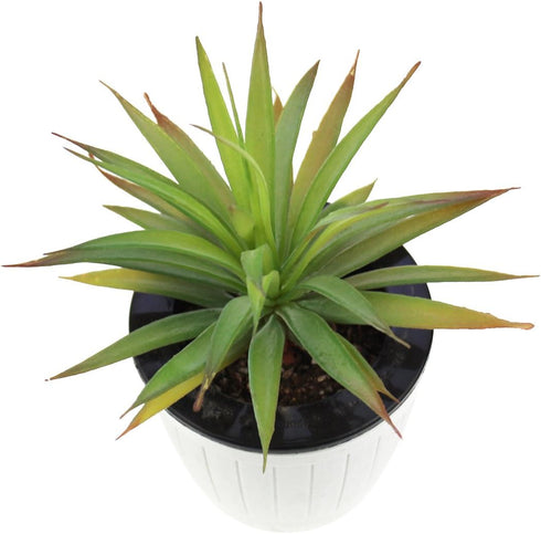LJY 2 Pieces Realistic Artificial Faux Succulent Yucca Vera Plants for Home Garden Decoration