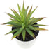 LJY 2 Pieces Realistic Artificial Faux Succulent Yucca Vera Plants for Home Garden Decoration
