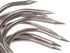 Tinsow 4 PCS Stainless Steel Meat Hooks - 5.1 Inch S-Hook for Butcher Hook, Pot Hooks, Hanging Drying BBQ Grill