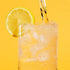 8g CreamRight Soda Siphon, Aluminum Sparkling Water Maker and Seltzer Bottle for Soda Water & Sodas Creation, Soda