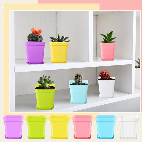 240 Pack 3 Inch Zubebe Plastic Seedling Pots Flower Pots Small Square Plastic Plant Pots Succulent Planter Nursery Pots