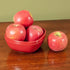 1 Perfect Plants Gala Apple Tree Gallon | Live Fruit Trees for Outdoor Planting | Fresh Apples for Eating, Canning