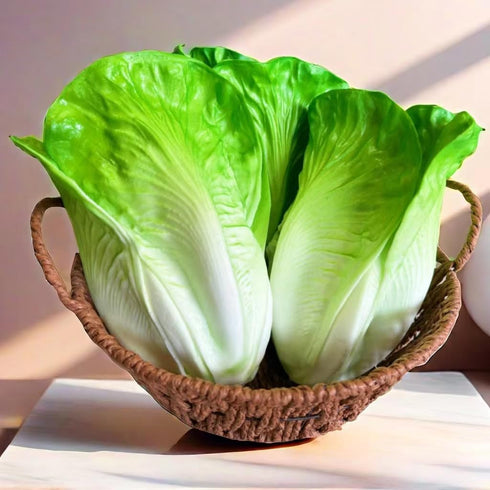 Generic 3pcs HC2430-L3 Realistic Artificial Fake Lettuce, Fake Vegetable, Artificial Vegetables for Decoration, Home