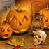 Mini Human Skull Model, 3 Parts Palm-Sized Anatomy Skull with Removable Cap & Full Set Teeth, Fun Halloween Decor