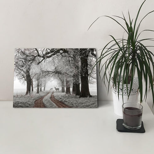 Winter Scene Canvas Wall Art, Nature Forest Landscape Prints with White Snowy Trees Painting for Living Room