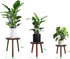 3-Pack 6-12 Inch Amdermi Wood Plant Stands Indoor, Single Plant Stand for Pots, Mid-Century Modern Plant Stool, Tall