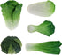 Set 5pcs Woration Green Artificial Vegetables Lifelike Lettuce Broccoli Cabbage PU Food Model Decoration for Home