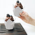 200pcs Tulip Cupcake Liners, Standard Greaseproof Paper Baking Cups for Bridal Showers, Baby Showers, Parties