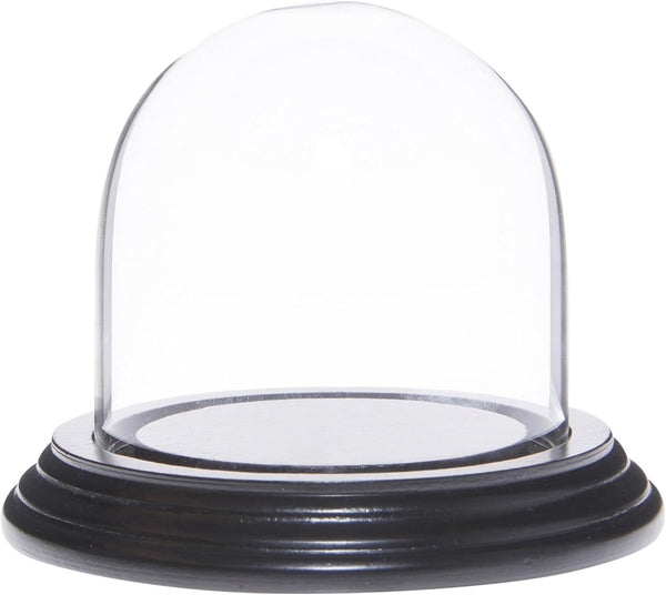 Plymor 3" x 3" Glass Display Dome Cloche with Black Wood Veneer Base