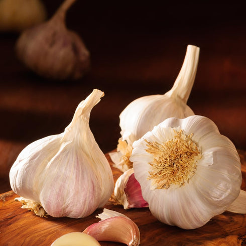 4 Bulbs Pack Bulbs Heirloom Hardneck Garlic for Planting - Music Garlic for Planting, Seed Garlic