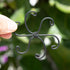 Set 2.75x2.75 inches 5 Yohsnor Monstera Plant Stem Support - Durable Fishbone Design Stabilizers for Indoor Climbing