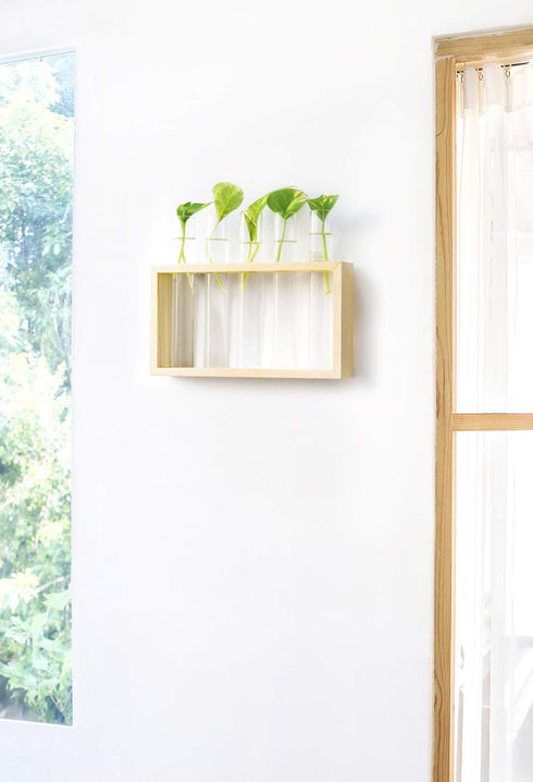 5 Mkono Wall Hanging Plant Propagation Station Tubes with Wooden Stand Desktop Plant Terrarium for Hydroponic Plants