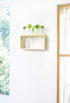 5 Mkono Wall Hanging Plant Propagation Station Tubes with Wooden Stand Desktop Plant Terrarium for Hydroponic Plants
