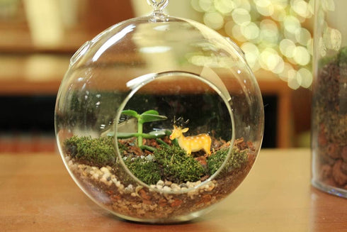 WGV Clear Glass Hanging Terrarium Globe, 7" Width, 8" Height, DIY Air Succulent Planter, 1 Piece