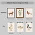 Yaasilinage Set 6 8x12in Nursery Animal Canvas Wall Art, Mallard Duck Hunting Poster, Fish Fishing Wall Decor