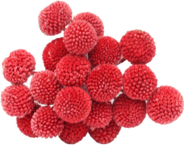 INVISIKAYAK Craspedia Globosa Material Flower, Immortal Eternal Flowers Gift, 40 Pcs in B-red
