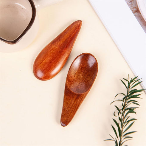3 Pieces Mini Wooden Spoons, Small Salt Spoon with Short Handle, 2.76 inch Brown Wood Scoop for Spice Jars.