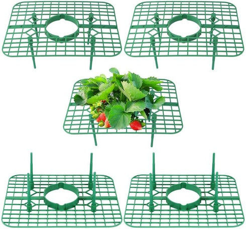 Qumenan 5 Pack Strawberry Plant Support Square Strawberry Supports for Garden Green Holder