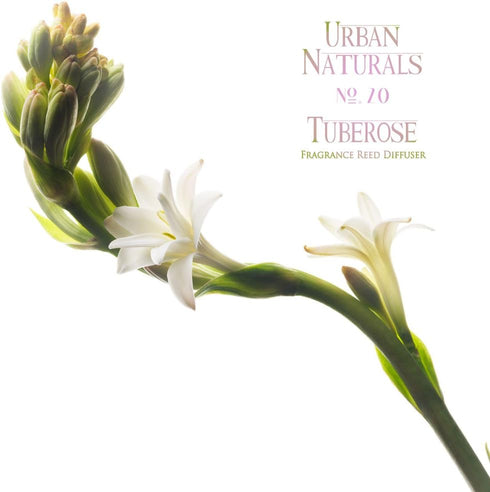 Urban Naturals Tuberose Fragrance Oil Reed Diffuser - Exotic Tuberose and Fragrant Orange Blossom, Vegan Room Freshener