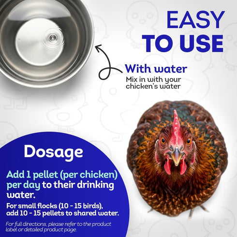 HA4E Immune 350 - Chicken Support for Mareks Disease - Natural Support & Strengthening - Highly Effective Homeopathic