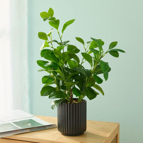 EZBOHO 16 inch Artificial Plants Indoor Realistic Touching Evergreen Leaf Fake Plant with Creamic Black Pot for Home
