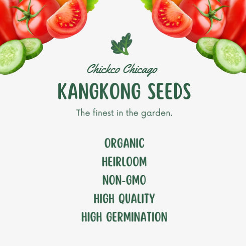 Chickco 600+ 97% Premium Kangkong Seeds - Ong Choy - Rau Muong - Kong Xin CAI Seeds | High Germination | Non-GMO |