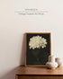 InSimSea Framed Canvas Wall Art, White Hydrangea Oil Painting Prints, Bedroom Bathroom Kitchen Office Decor 8x10 Inch
