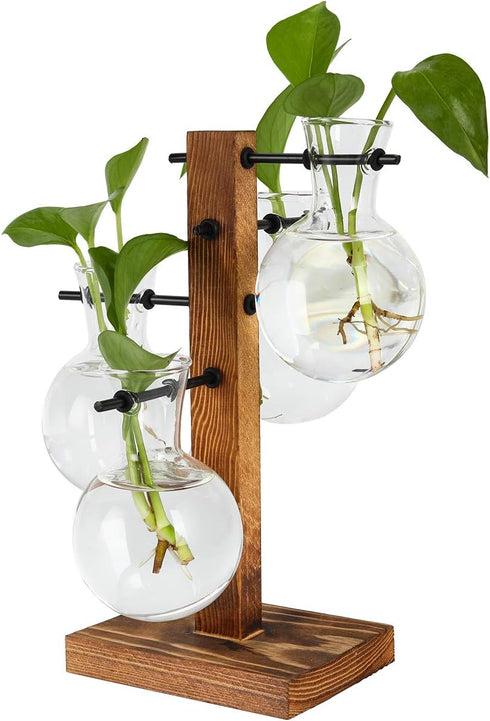 4 Bulb PAG Planter Terrariums Kit Desktop Hydroponics Air Plant Holder with Beaker Glass Vase and Solid Wood Stand