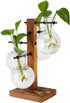 4 Bulb PAG Planter Terrariums Kit Desktop Hydroponics Air Plant Holder with Beaker Glass Vase and Solid Wood Stand