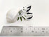 Seashell Hermit Crab Miniature Figurines Beach Animals Hand Blown Glass Art Collectible Gift Decorate - Scotch Shell