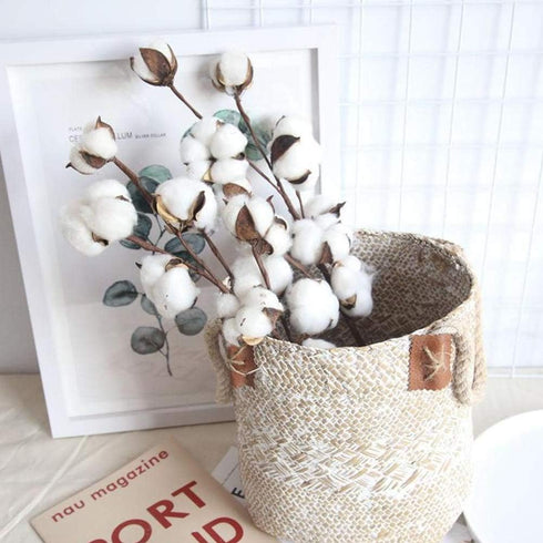 DomeStar Natural Dried Cotton Stems, 8 Packs Total, 15 Bolls Cotton Sprigs Blooms for Vase Fillers