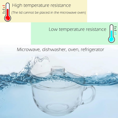 WHJY Small Glass Bowl, Microwave Safe Soup Bowl with Lid and Handle, Clear Oatmeal Bowl for Soup, 500ml/16oz