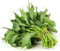 Kong Xin CAI Seeds (250 Seeds) - Green Leaf Vegetable Seeds for