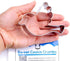 Twitter Bird Cookie Cutter, Stainless Steel