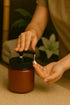16oz (1, Royal Massage Refillable Pump Jar with Locking Dip Tube Dispenser BPA-Free Plastic Container for Massage Oils