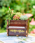 Wooden Pots, Mini Flowerpot, Retro Resin Succulent Planter Bonsai Pot Desk Holder Mini Ornament (Piano Black)