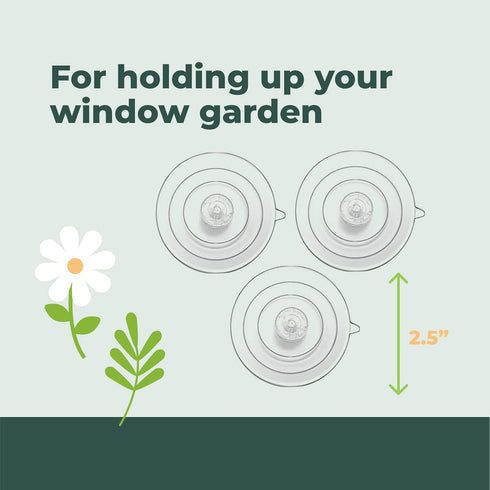 Window Garden Replacement Suction Cups, 12 Clear Large Super Strong Suckers for Glass Surfaces