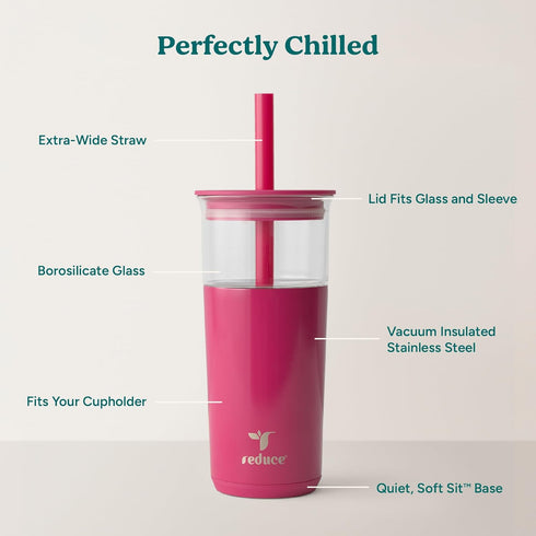 20 oz 12 REDUCE Aspen Vacuum Insulated Glass Tumbler with Lid & Extra Wide Straw - Keeps Drinks Cold for Hrs - Ideal