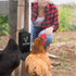 Kalekey 2 Pack Metal Chicken Feeder, Oyster Shell and Grit Feeder Hanging/Ground Chicken Coop Feeder with Durable Iron